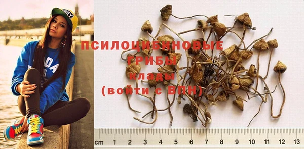 MESCALINE Нефтегорск