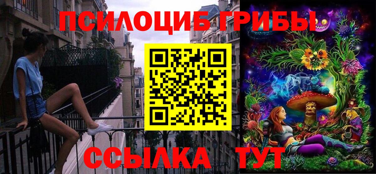 Корсаков  что такое наркотик  Вход с VPN  Псилоцибиновые грибы мицелий 